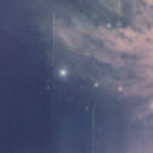 Meet your Posher, Lena